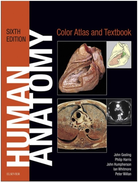 anatomy atlas pdf free download